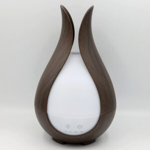 Diffuser - Discounted Perfume