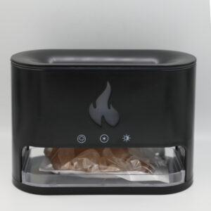 Diffuser - Compact Smokeless Indoor Grill and Warmer